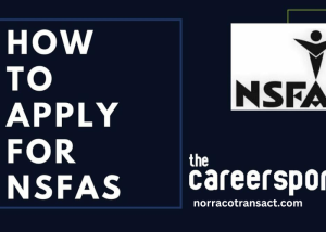 Nsfas Status Check Log IN